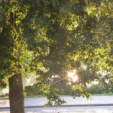 Piwniczka Jahlowej Apartment