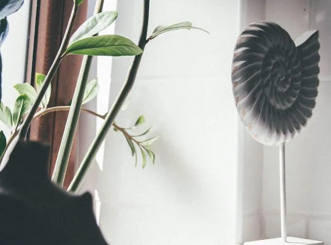 Piwniczka Jahlowej Διαμέρισμα Piwniczna-Zdroj