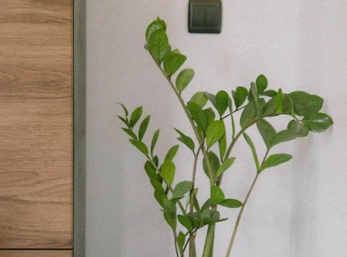 Piwniczka Jahlowej Διαμέρισμα Piwniczna-Zdroj